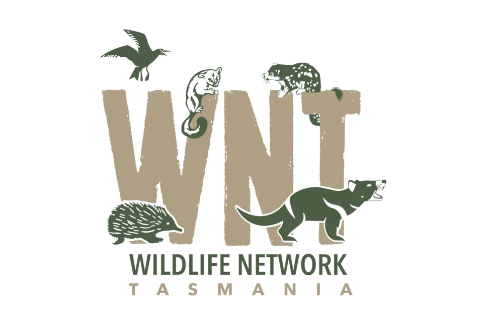 WNT Portrait logo